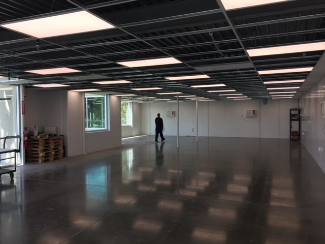 Offices with Doors and Windows